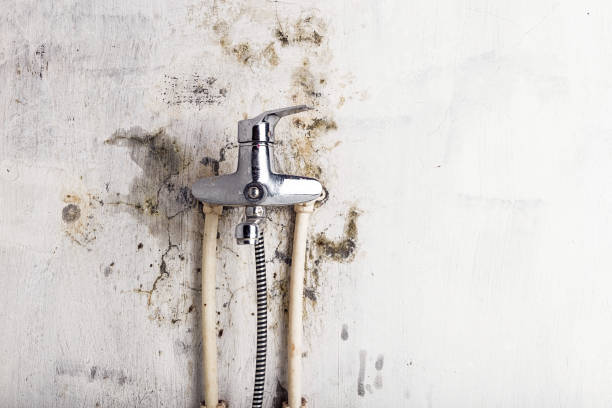 Home Mold Removal in Myrtletown, CA
