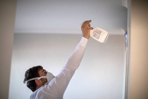 Best Affordable Mold Removal  in Myrtletown, CA