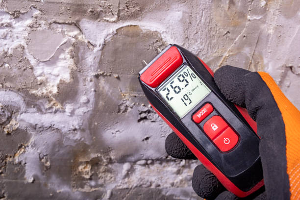 Best Water Damage Restoration  in Myrtletown, CA