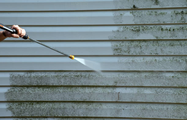 Best Residential Mold Removal  in Myrtletown, CA