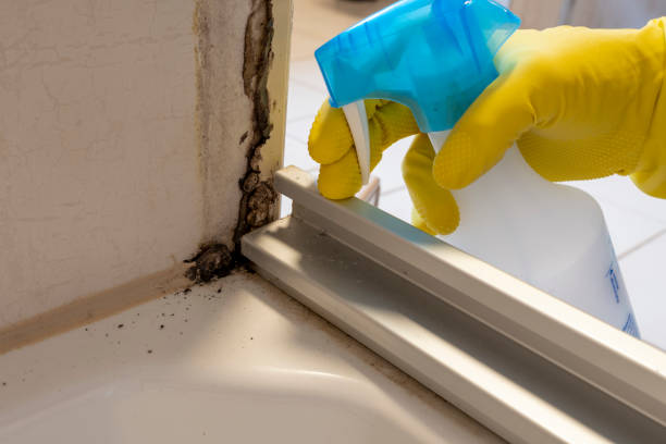 Best Commercial Mold Removal  in Myrtletown, CA